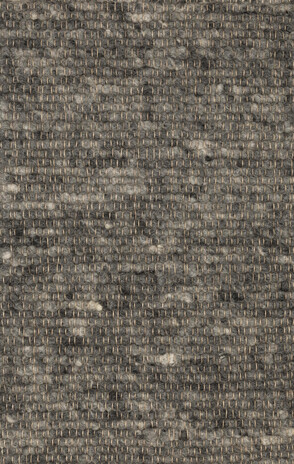 Ctychi-1483